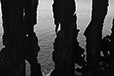 What Remains 35